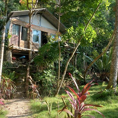 Sumatra Ecolodge Sungaipisang Kültér fotó